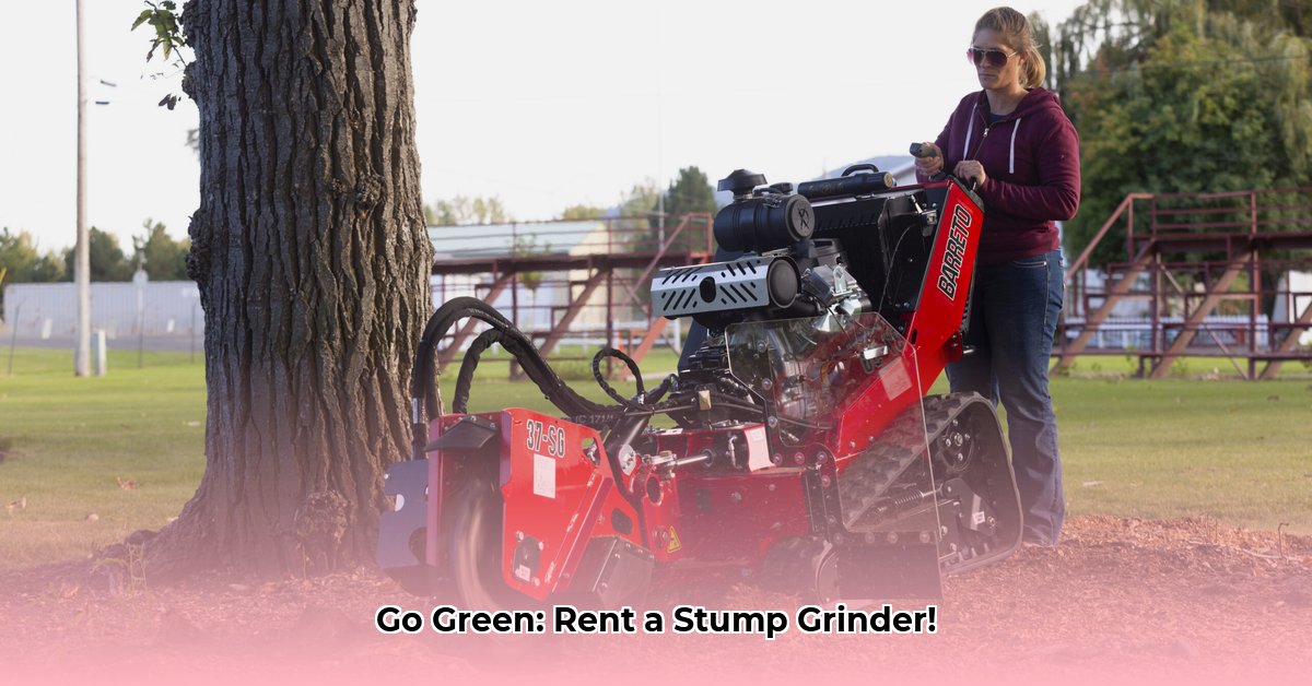 tractor-stump-grinder-rental